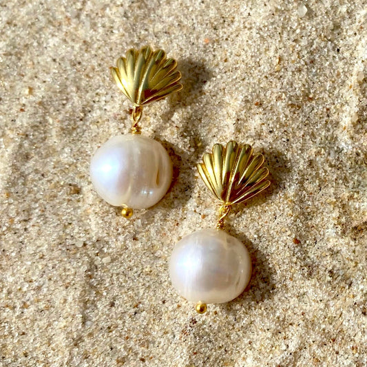 ANTIBES Seashell earrings