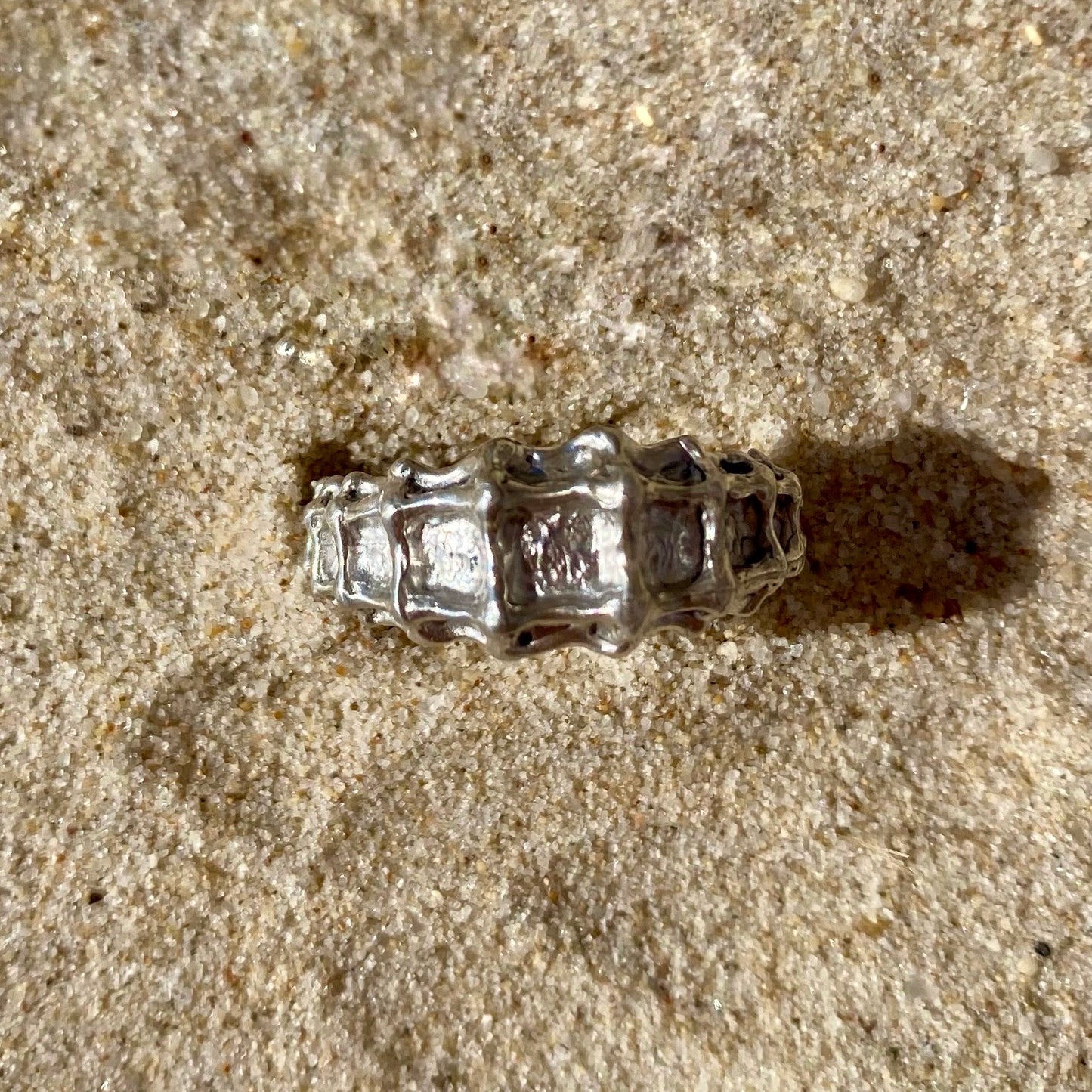 HIPPOCAMPE Ring