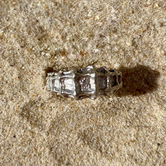 HIPPOCAMPE Ring