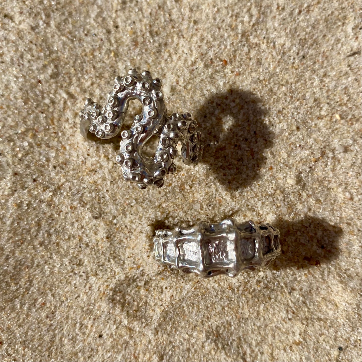 HIPPOCAMPE Ring