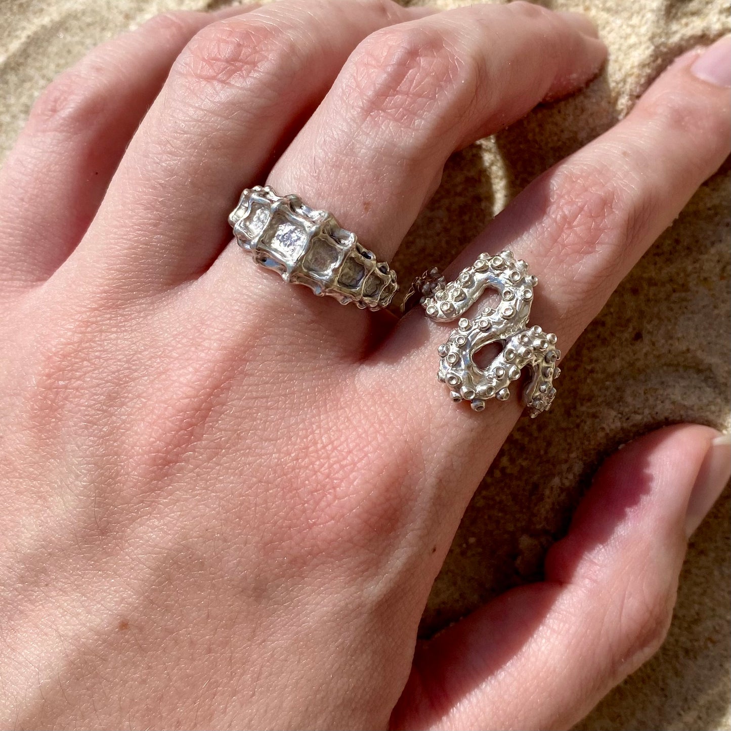 HIPPOCAMPE Ring