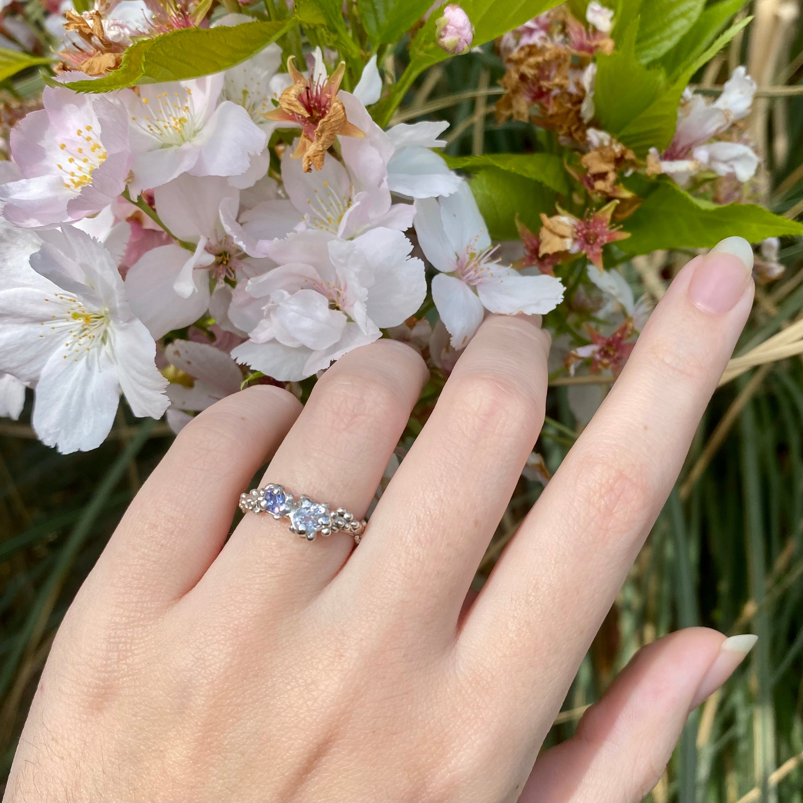 SEA ANEMONE Ring, tanzanite & white sapphire, size 54